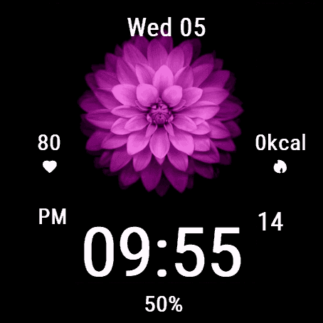 Purple Dahlia